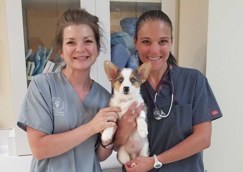 Carousel Slide 8: Meet our team!