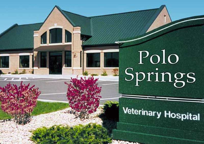 Carousel Slide 1: Polo Springs Veterinary Hospital
