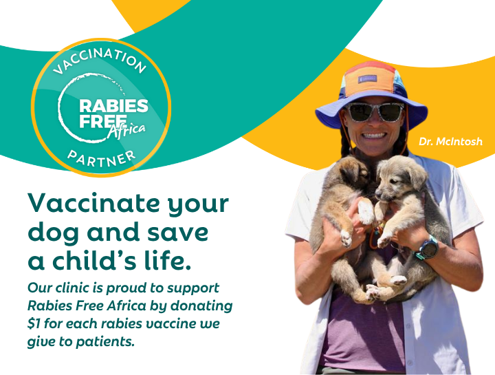 Celebrating One Year of Partnership with Rabies Free Africa