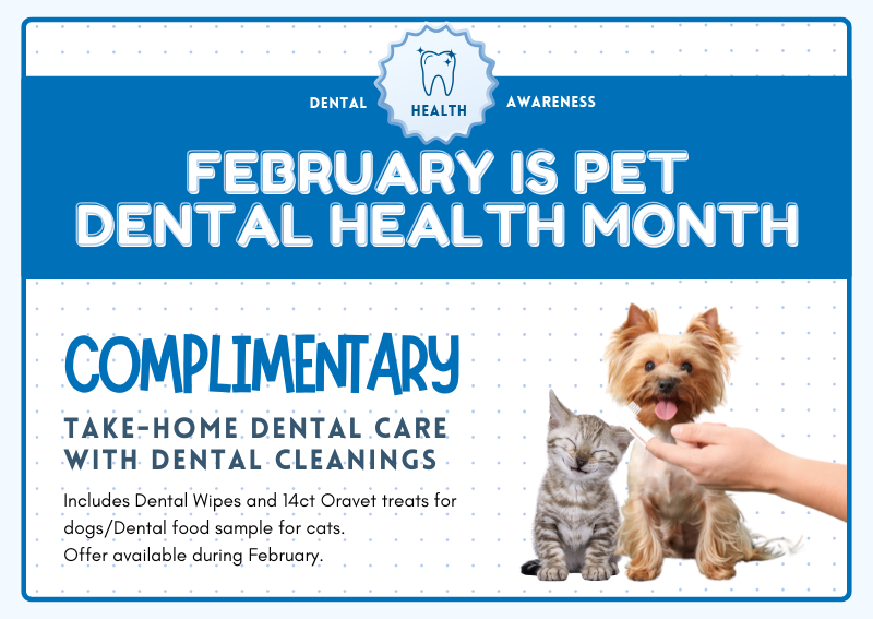 Carousel Slide 1: Click here to learn more!